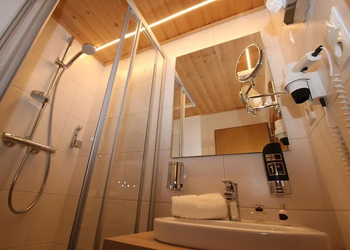 阿尔盘格伦旅馆 3* 朗根费尔德