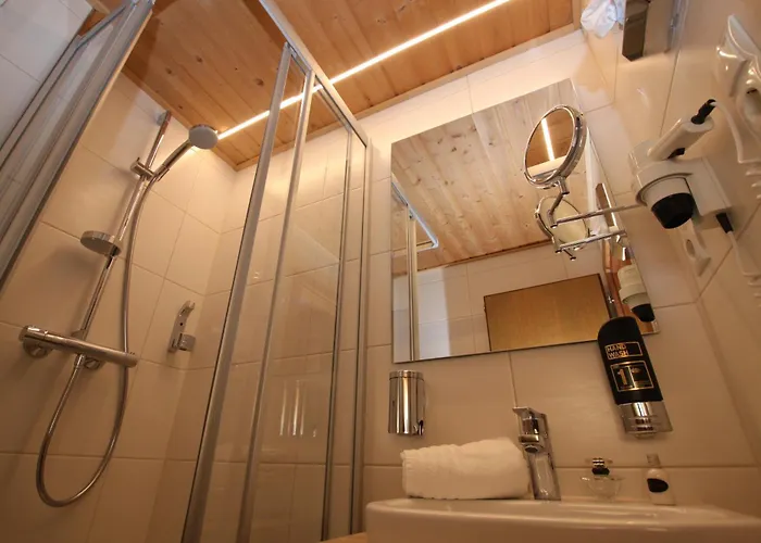 阿尔盘格伦旅馆 3* 朗根费尔德