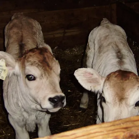 Vendégház Haus Alpengluehn