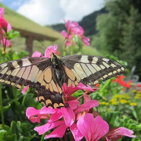 Haus Alpengluehn Längenfeld