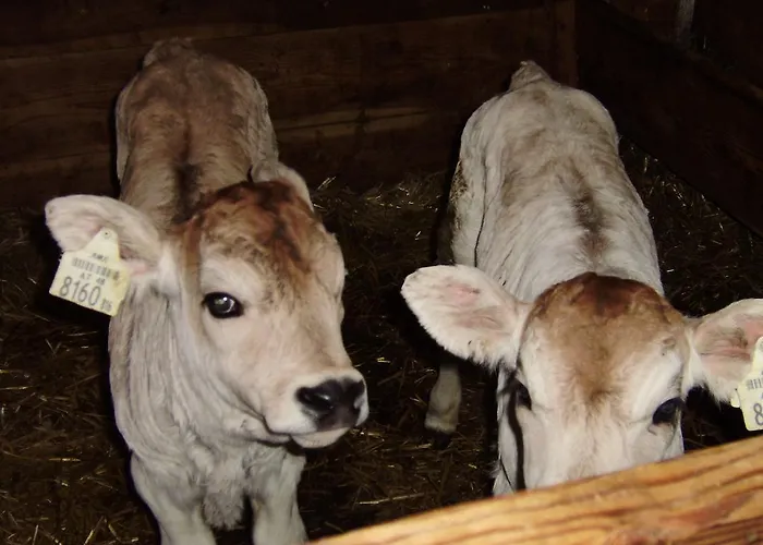 Vendégház Haus Alpengluehn