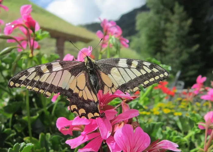 Haus Alpengluehn Längenfeld